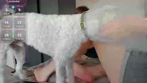 Snapshot of alexiacortez chatting on November 20, 3:23 pm Alexia online show from November 20, 3:23 pm