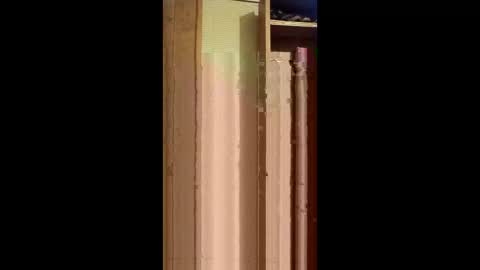 alexxsanchez12345 online show from December 19, 1:56 am