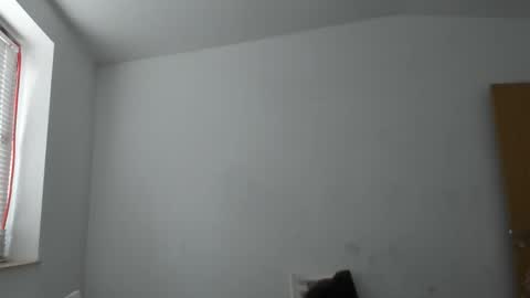 Snapshot of alfiesolomons87 chatting on November 14, 9:41 am alfiesolomons87 online show from November 14, 9:41 am