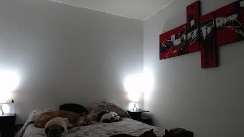 cami online show from March 12, 7:24 am