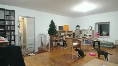 Snapshot of alice8363 chatting on December 6, 5:53 am Alice online show from December 6, 5:53 am