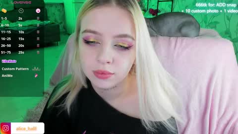 Snapshot of alice_halle chatting on December 13, 8:26 pm alice_halle online show from December 13, 8:26 pm