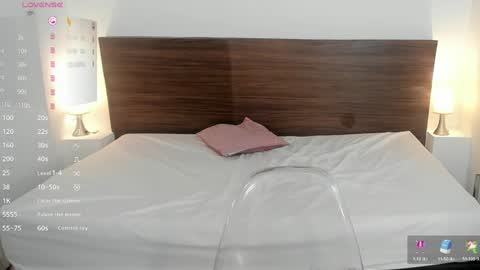 Snapshot of aliceross1 chatting on December 28, 2:33 am AliceRoss online show from December 28, 2:33 am