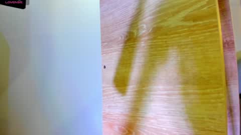           online show from January 8, 4:00 pm