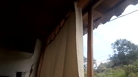 Snapshot of alisson369_ chatting on February 13, 3:03 pm Alisson369 online show from February 13, 3:03 pm