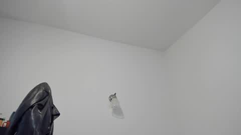 LeatherMaster online show from December 24, 10:55 am