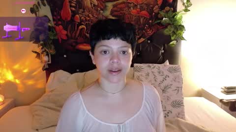         online show from September 20, 11:33 am