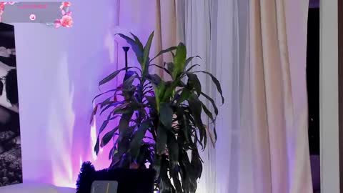 Amatista online show from September 22, 11:51 pm