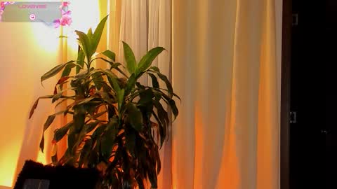 Amatista online show from October 11, 11:25 pm