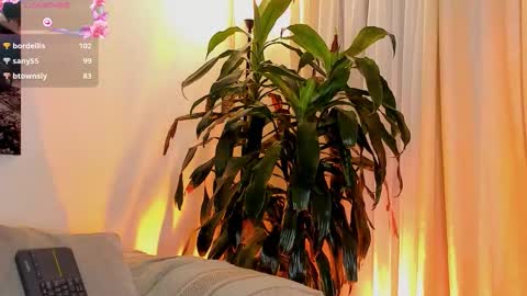 Amatista online show from November 1, 11:07 pm