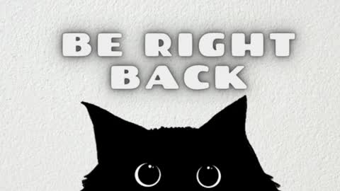 AmbarSantany  online show from February 24, 11:30 pm