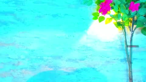  AMELIA.  online show from October 1, 9:21 pm