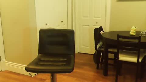 Snapshot of amera_gray chatting on January 12, 6:16 pm HOT white naughty leo xxx online show from January 12, 6:16 pm