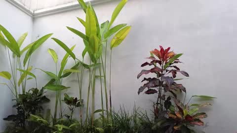 Snapshot of amyalwayshere chatting on March 2, 10:35 am girl next door named Amy online show from March 2, 10:35 am