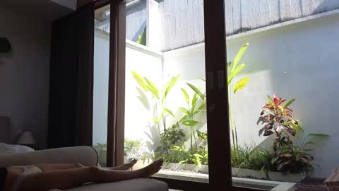 Snapshot of amyalwayshere chatting on March 3, 7:54 am girl next door named Amy online show from March 3, 7:54 am