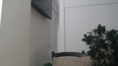 Ana online show from January 26, 4:30 pm