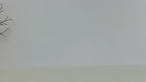 Snapshot of anaid_blaze2 chatting on November 10, 1:54 pm anaid_blaze2 online show from November 10, 1:54 pm