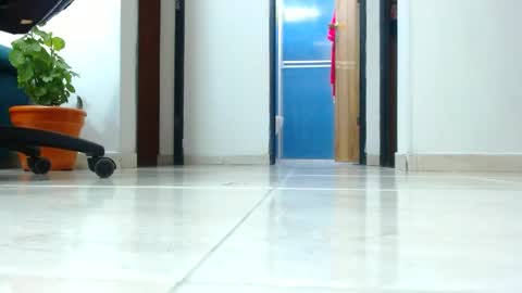 anaids online show from January 1, 4:18 am