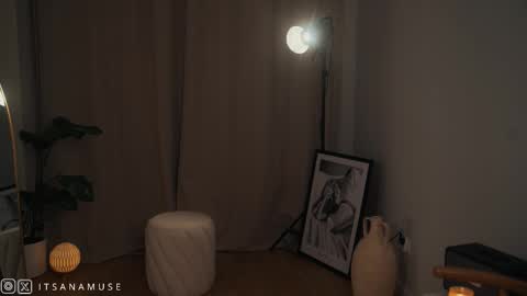 Snapshot of anamuse chatting on October 17, 8:55 pm Ana online show from October 17, 8:55 pm