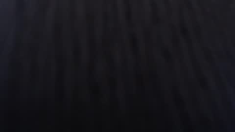   online show from January 2, 12:03 pm