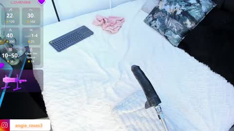 angiee roses online show from December 14, 8:02 am