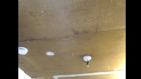 Ani online show from February 25, 2:11 pm