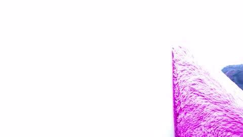 Snapshot of anisston_boods1 chatting on January 15, 7:37 am ana independent model online show from January 15, 7:37 am