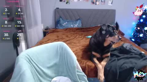 Snapshot of anna_ana chatting on December 31, 10:34 pm Anadirectgirl online show from December 31, 10:34 pm