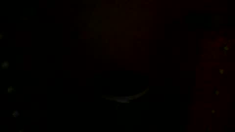 annecharlie online show from November 30, 7:56 am