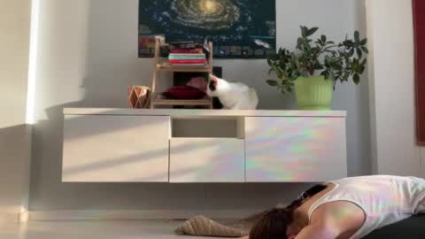 N  antics online show from September 18, 3:52 am