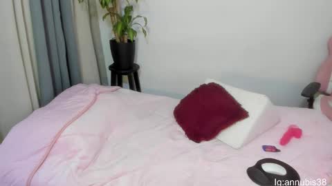 Snapshot of annubis_lia chatting on January 30, 6:46 am SOFIA INDEPENDENT MODEL online show from January 30, 6:46 am