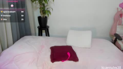 Snapshot of annubis_lia chatting on February 18, 7:21 am SOFIA INDEPENDENT MODEL online show from February 18, 7:21 am