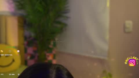 Nell. online show from November 3, 4:47 am