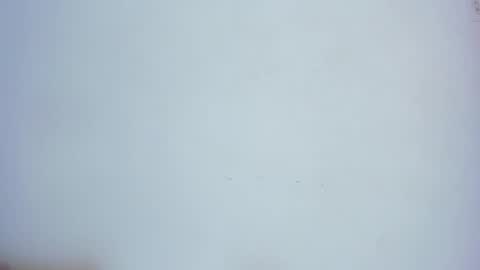 A N T O N E L L E  online show from January 12, 2:19 pm