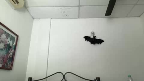 Antonia online show from December 5, 3:28 pm