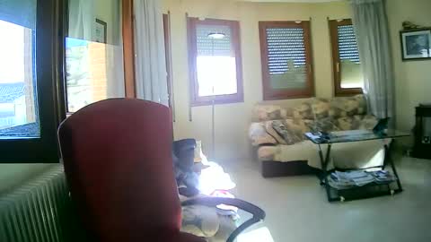 Snapshot of antonio2605 chatting on January 13, 11:19 am Antonio online show from January 13, 11:19 am