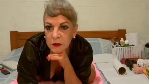 ANY CAT online show from December 24, 8:55 am