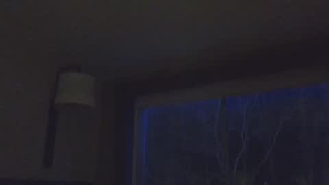 Daddy online show from November 15, 2:31 am