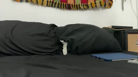 cowboy online show from November 18, 8:08 am