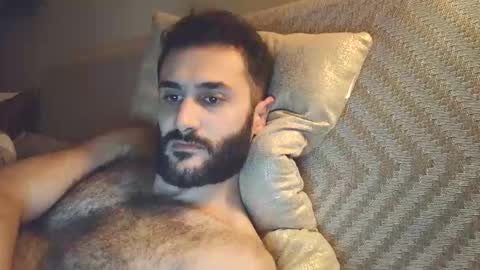 Snapshot of arabhairy90 chatting on December 3, 8:06 pm hairycub online show from December 3, 8:06 pm