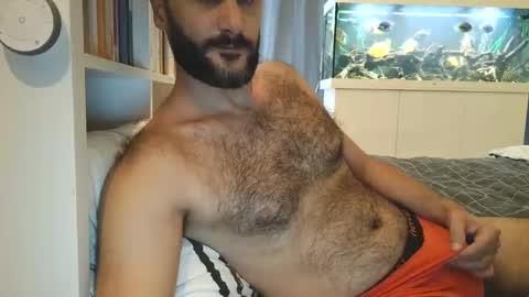 Snapshot of arabhairy90 chatting on December 25, 9:24 am hairycub online show from December 25, 9:24 am