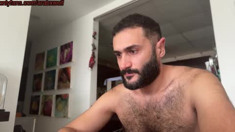 Snapshot of arabhairy90 chatting on November 9, 8:12 am hairycub online show from November 9, 8:12 am