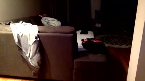 Snapshot of arabiandream21 chatting on September 23, 9:23 am Knowledgeiskeyy online show from September 23, 9:23 am