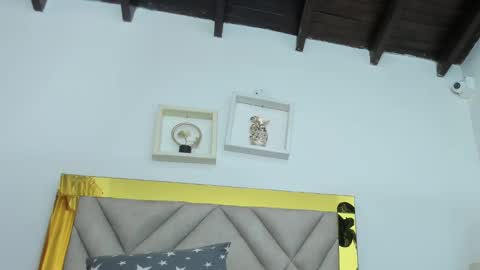  ARI  online show from December 29, 9:50 am