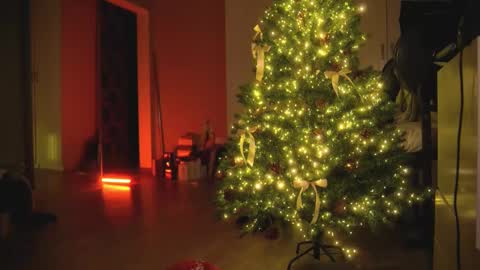 Snapshot of arianna_richi chatting on December 30, 5:48 am Olivka online show from December 30, 5:48 am