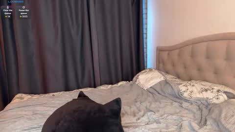 Mia  Arlen online show from October 22, 2:17 pm