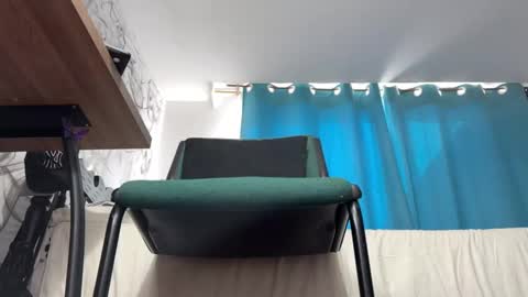 Snapshot of arteemiis chatting on January 1, 10:35 pm online show from January 1, 10:35 pm