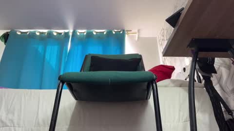 Snapshot of arteemiis chatting on January 5, 10:32 am online show from January 5, 10:32 am