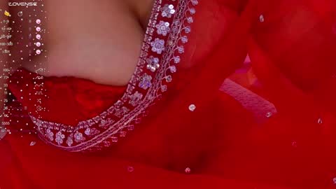 Snapshot of ashalisha chatting on December 24, 2:22 pm Asha online show from December 24, 2:22 pm