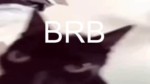 Snapshot of asheluck chatting on January 17, 11:29 pm AshleyAshe online show from January 17, 11:29 pm